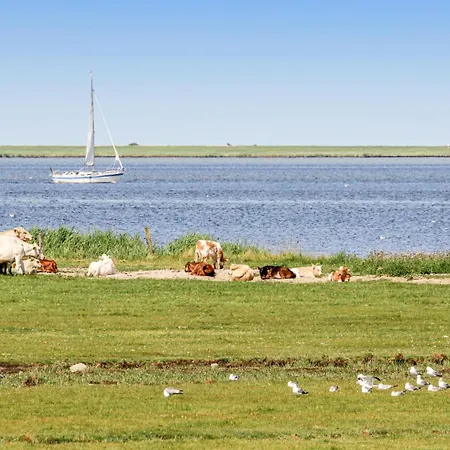 Amazing In Ostseeresort