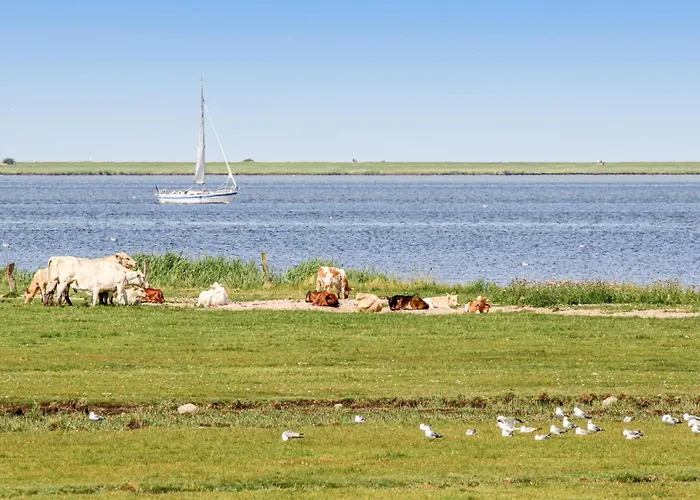 Amazing In Ostseeresort